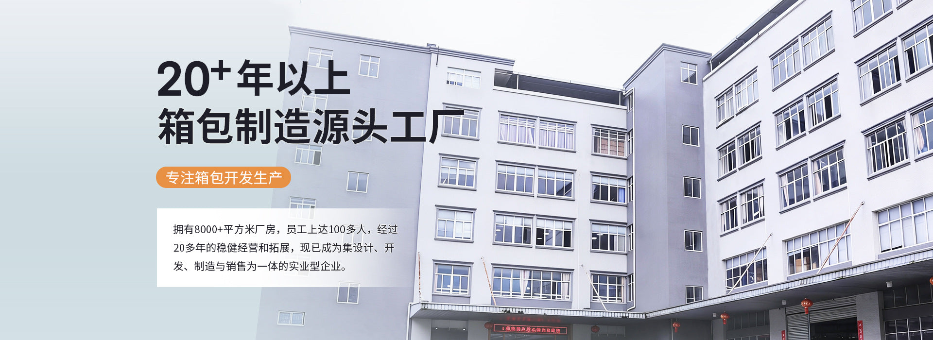 跨境爆款海绵宝宝书包小学生男童大容量可爱卡通印花休闲双肩包